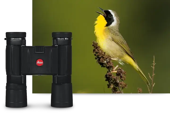 COMPACT-FIELD-OPTICS-2-VIVID-VIEWS