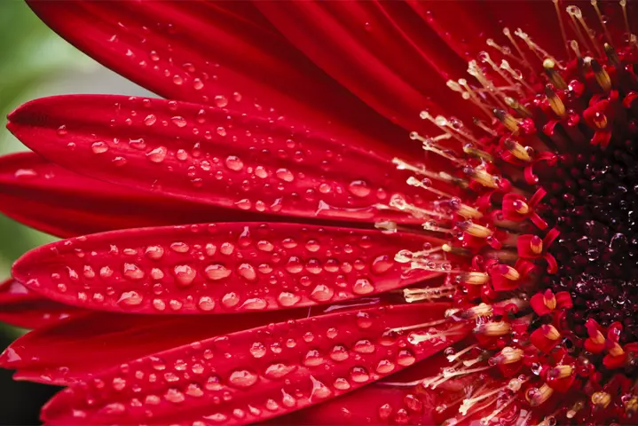 bright-and-clear-image_landingpage_1070x714