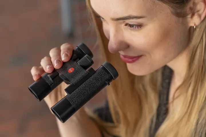 shapely-elegant-design_content_teaser_848x564