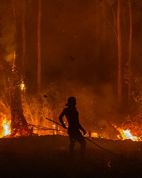 A firefighter stands in front of a fire in a dense forest at night.