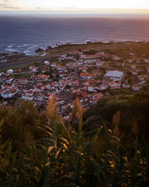 A small coastal village surrounded by green vegetation at sunset.