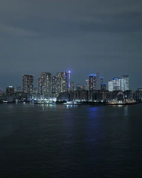 Illuminated skyline of Tokyo at night, with a view of the water in the foreground.