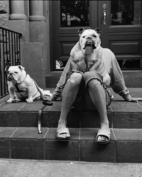 Person sits on steps with two dogs, one dog sits on the lap covering the person's upper body and face.
