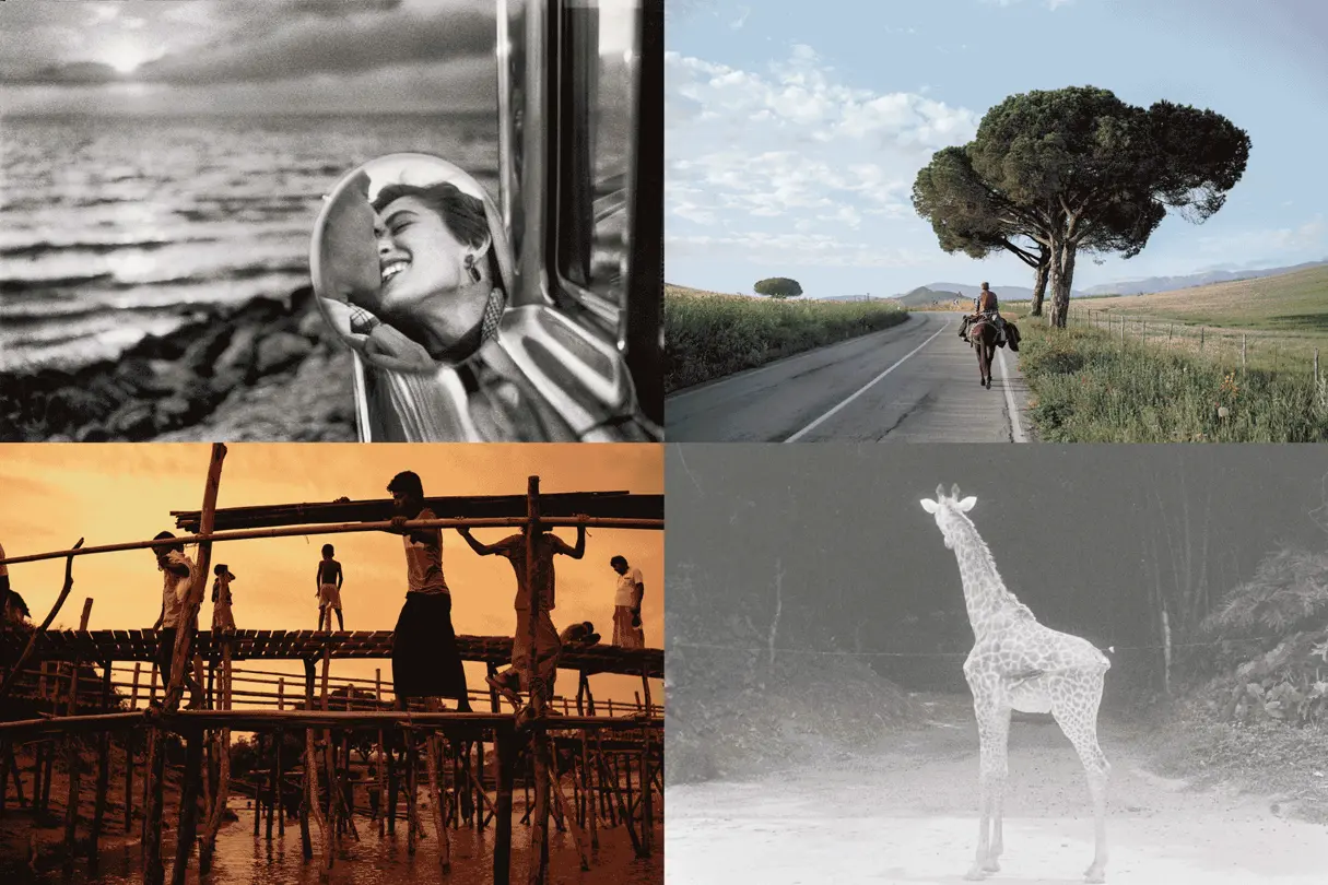 GIF Collage of Leica Gallery images