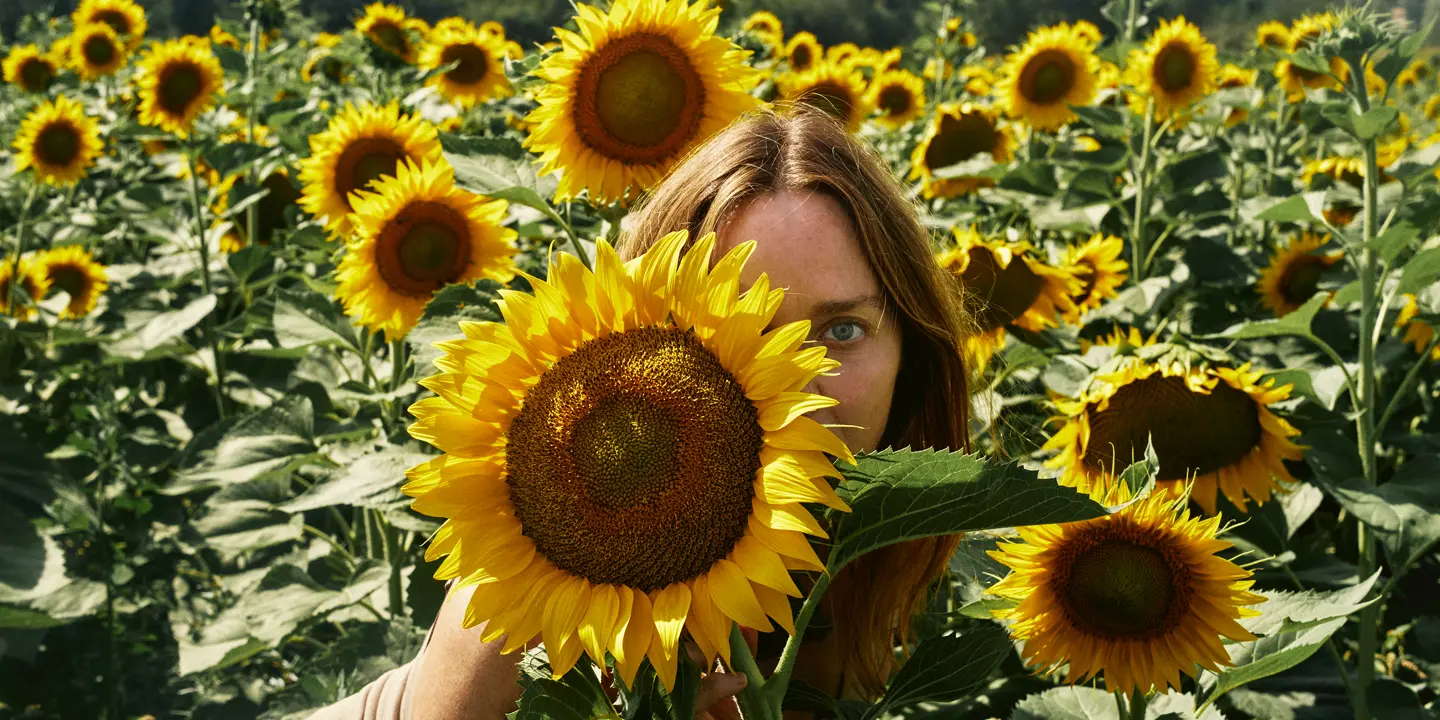 Mary McCartney in the sunflower field