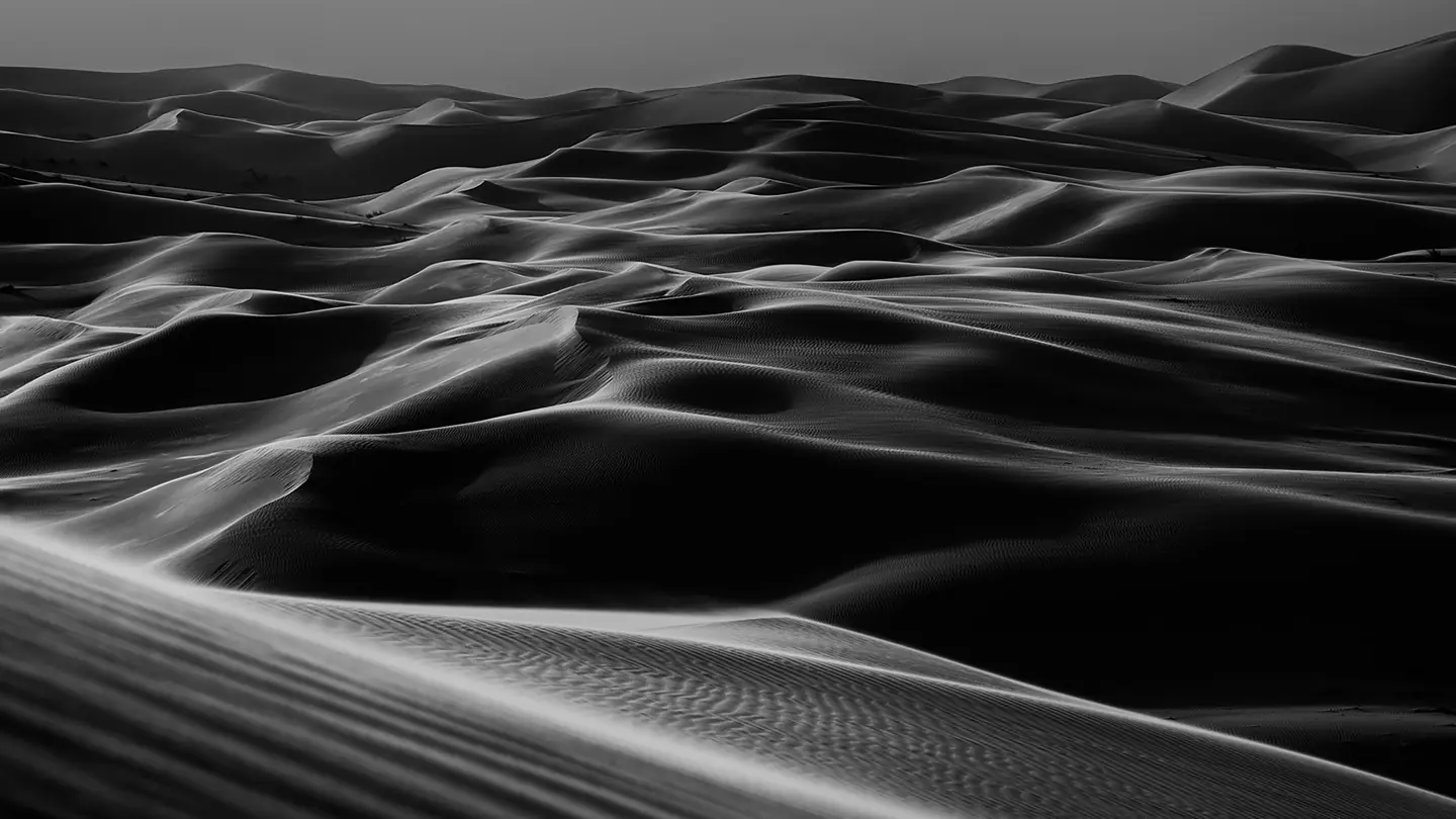 Desert monochrom