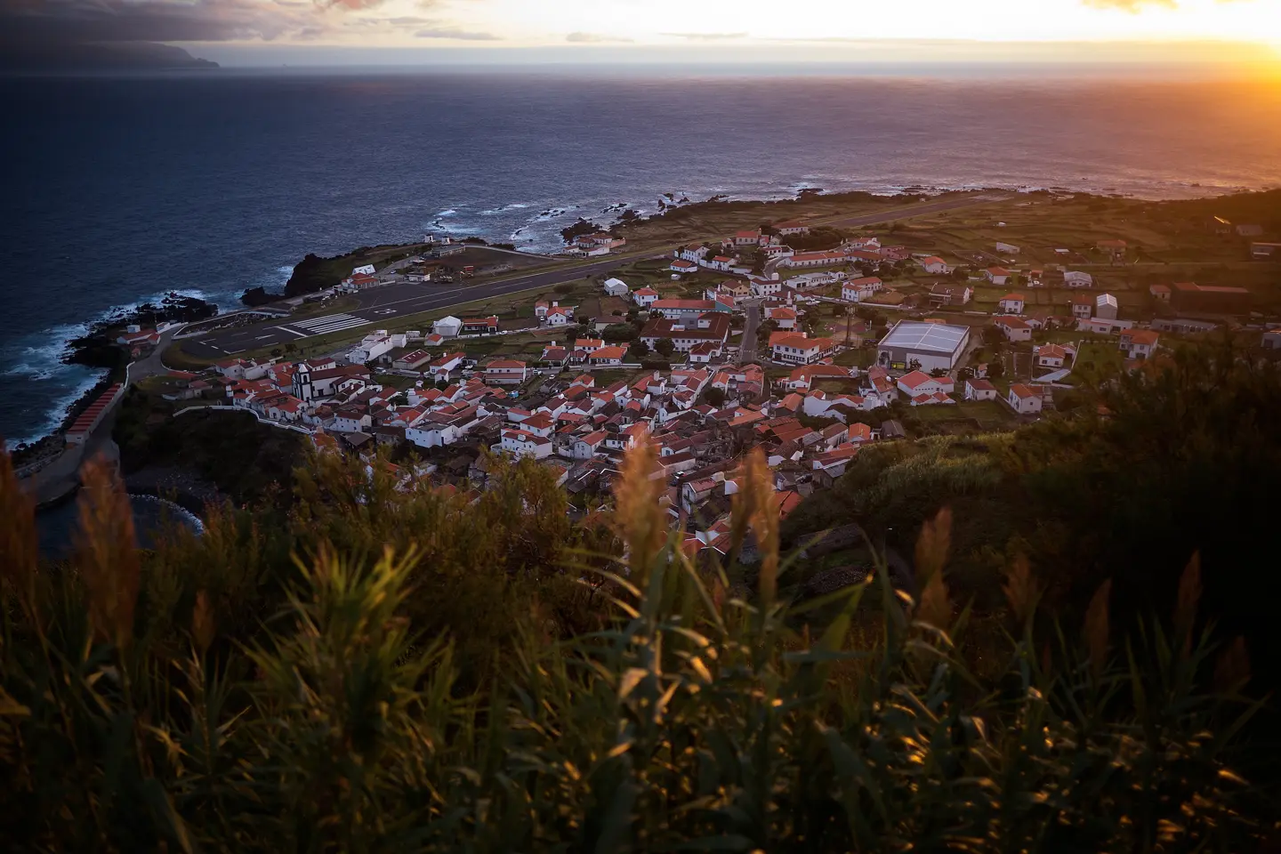 A small coastal village surrounded by green vegetation at sunset.