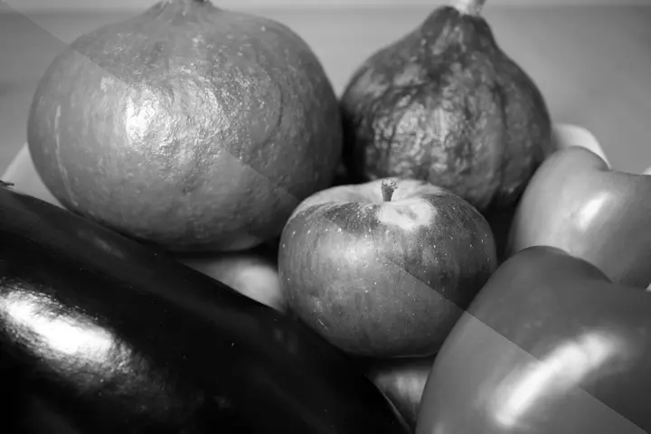 Q2M_Filter-2_GREEN_1512x1008