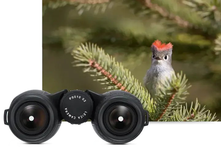 BINOCULAR-TRINOVID-1-A-NEW-GENERATION