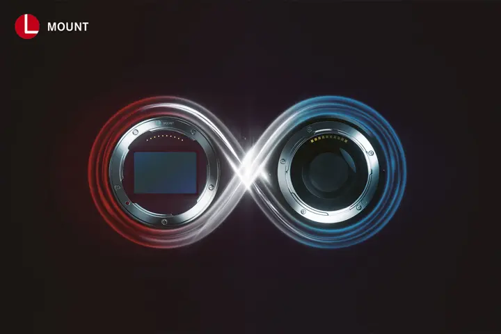 l-mount_1740x1160.jpg