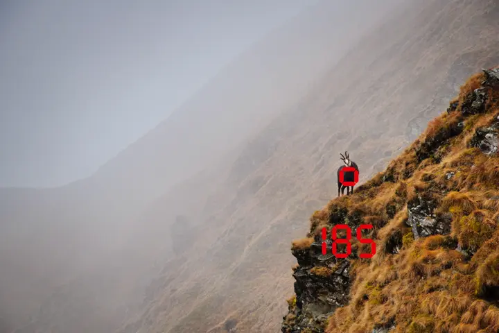 Leica-Geovid_Rangefinding