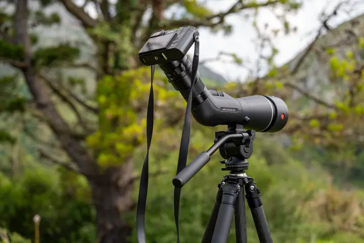 Digiscoping with Leica APO-Televid and Leica Q