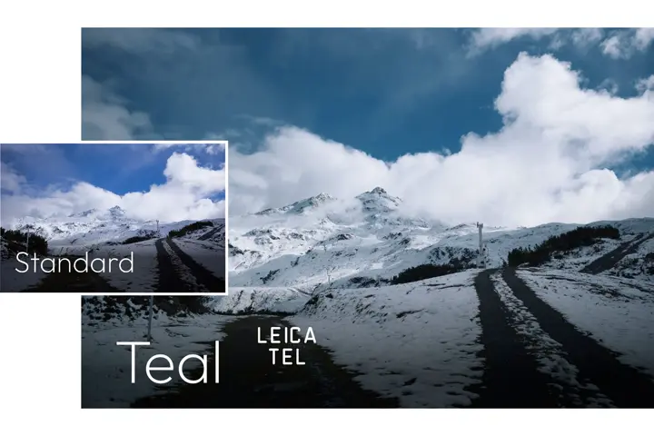 Leica Looks Teal Snowy landscape