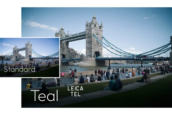 Leica Looks Teal city with a big bridge