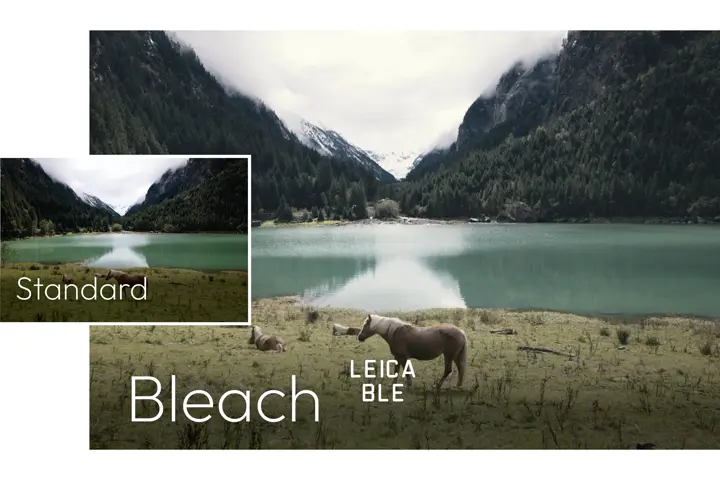Leica Look Bleach example of a horse on a meadow in front of a sea