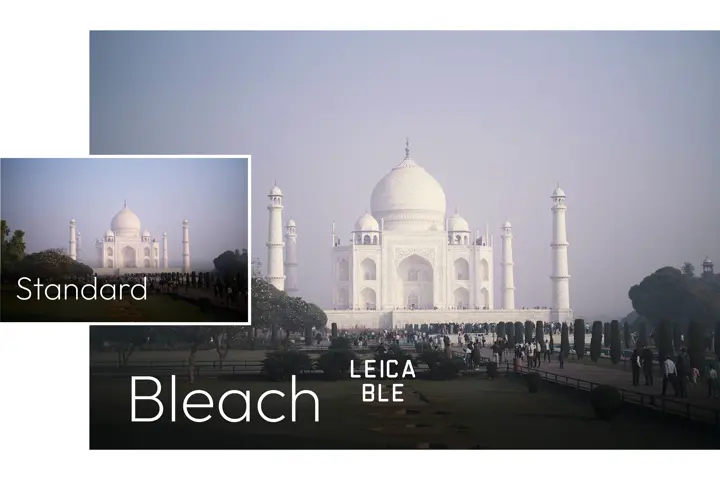Leica Look Bleach example of a mosque