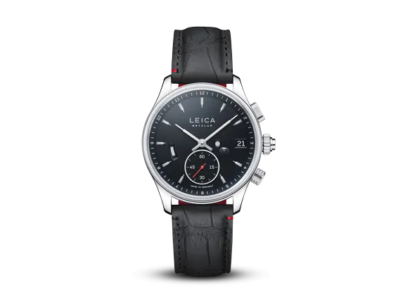 ZM2_alligator.png ZM2_alligator.png