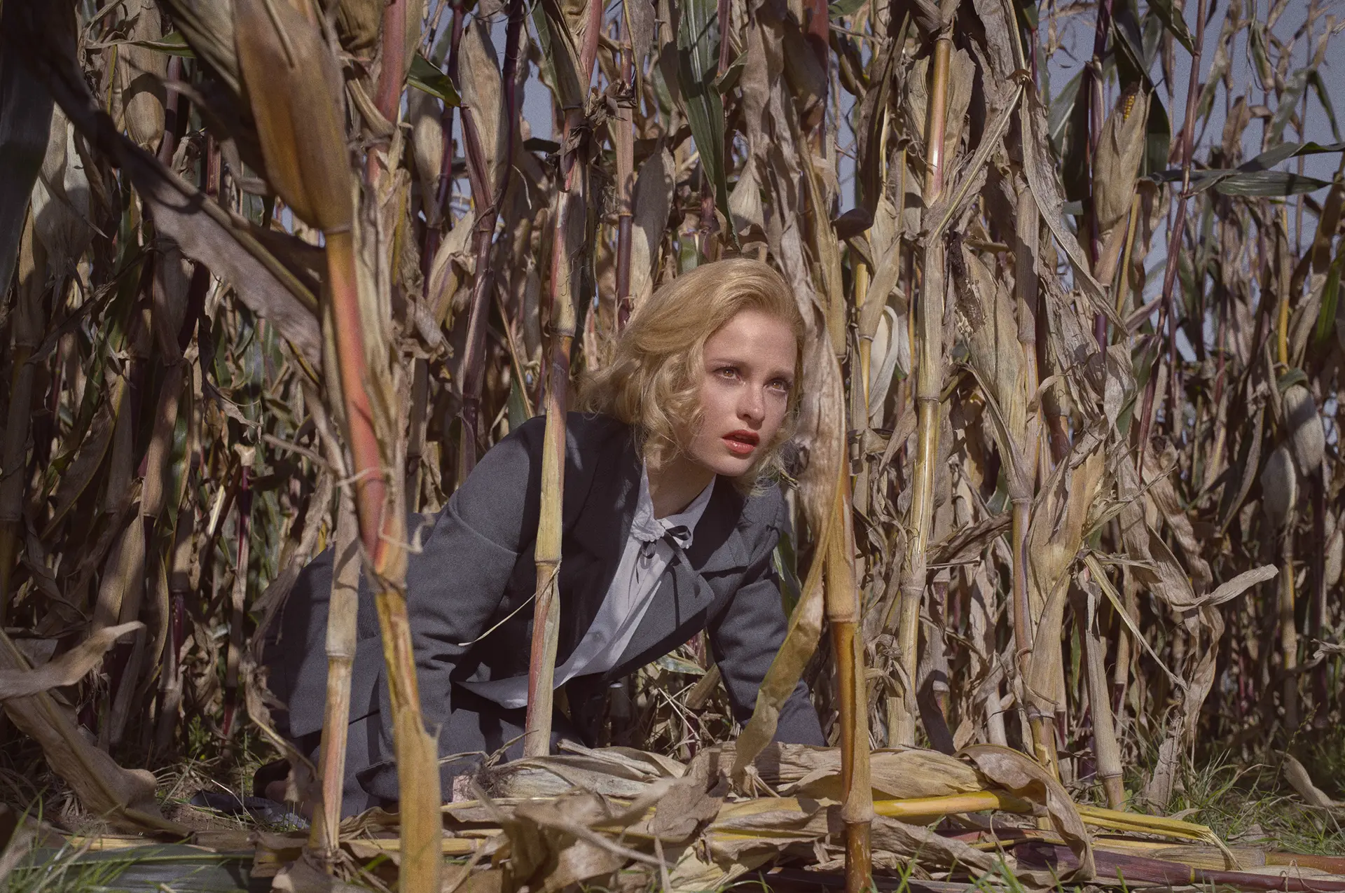 Woman is laying in a corn field
